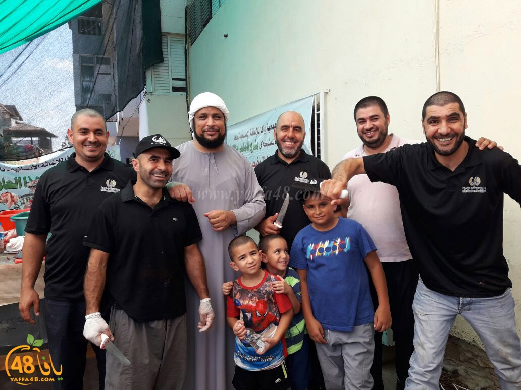 lod8om ada73y (43).jpg